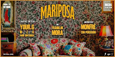MARIPOSA EN MI CASA