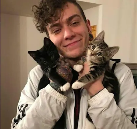 Pet Cats and Listen to METAL