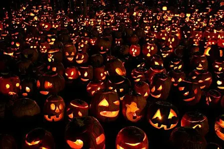 My Way Tavern's First Annual Pumpkin Carving Competition