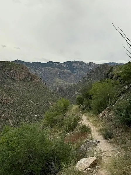 Phoneline Short Loop – Sabino Canyon