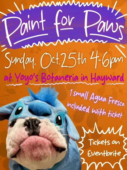 Paint for Paws at Yoyo’s!