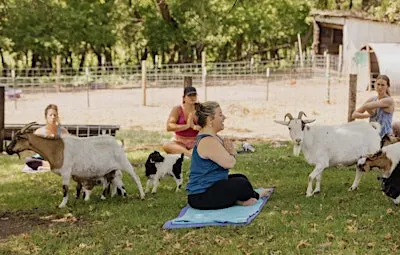 Farm Retreat: A day for families impacted by addiction