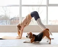 Puppy Yoga with Paws for Change