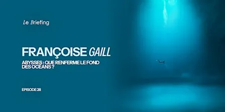 Abysses : que renferme le fond des océans ?