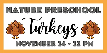 Nature Preschool: Turkeys