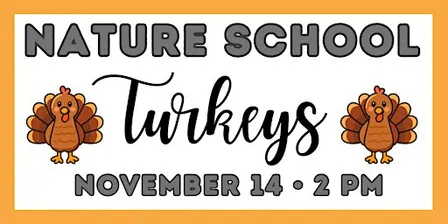 Nature School: Turkeys