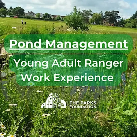 Pond Management- Young Adult Ranger Work Experience at Seafield Gardens