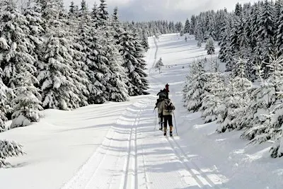 Winter Harz Adventure: Brocken Views & Forest Trails