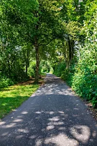 Lezing: Vallen en opstaan, de weg van ziekte naar herstel