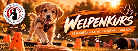 Welpenkurs