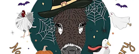Flocktoberfest at Naughty Donkey Farm Sanctuary