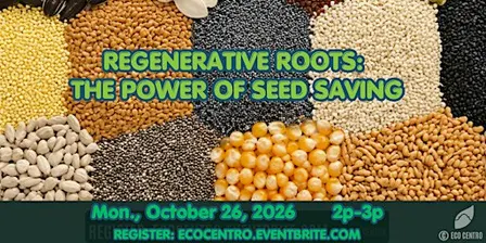 Regenerative Roots: Power of Seed Saving at Northwest Vista College Library