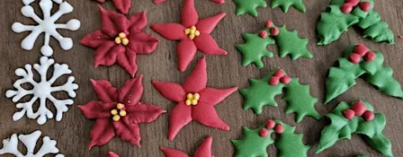 Mini Masterclass- Making Royal Icing Transfer decorations!