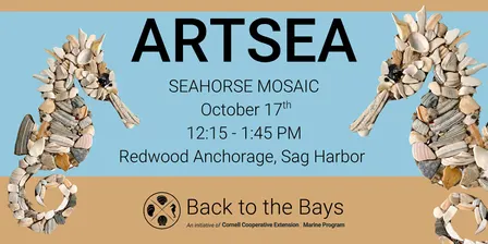 ArtSEA: Seahorse Shell Mosaic