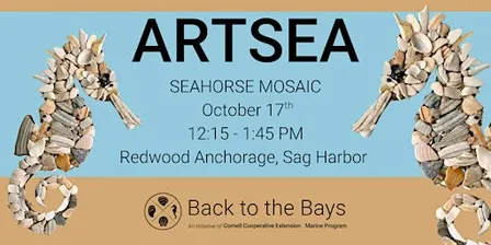 ArtSEA: Seahorse Shell Mosaic