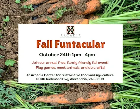 Fall Funtacular