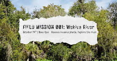 October Field Mission: Wekiva River