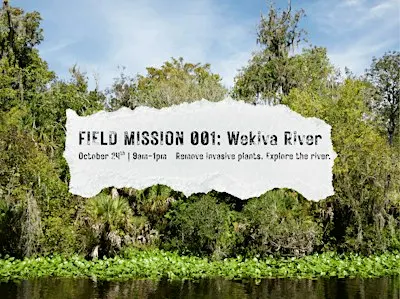 October Field Mission: Wekiva River