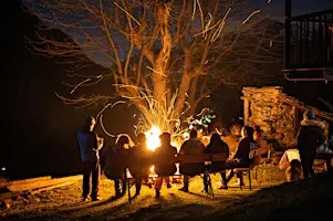 Council of All Beings