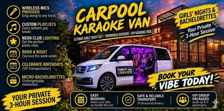 Girls' Night Out: 3-Hour Party Van & Karaoke Experience