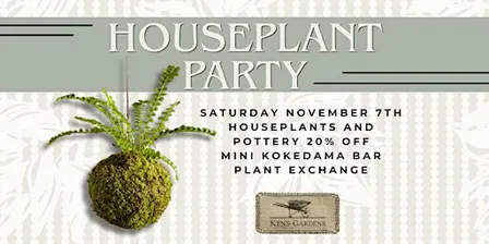 Houseplant Party (Both Store Locations)