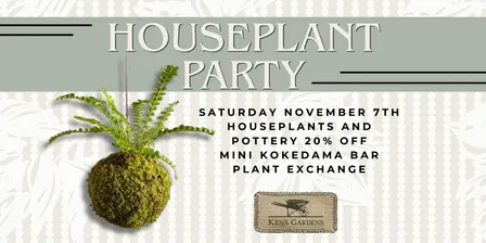 Houseplant Party (Both Store Locations)