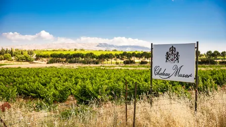 Château Musar Tasting & Seminar with Marc Hochar