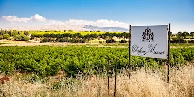 Château Musar Tasting & Seminar with Marc Hochar