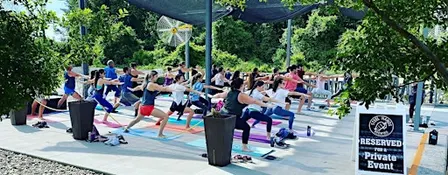 Halloween Yoga + Brunch at Steel Hands Brewing