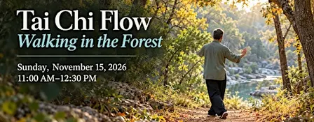 Tai Chi Flow: Walking in the Forest