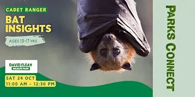 Cadet Ranger – Bat Insights