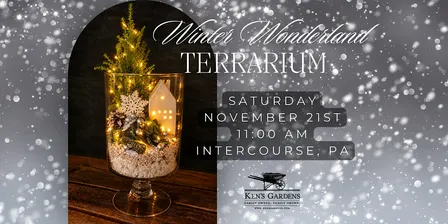 Winter Wonderland Terrarium (Intercourse Location)