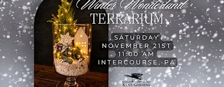 Winter Wonderland Terrarium (Intercourse Location)