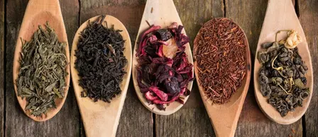 Herbal Wisdom Class