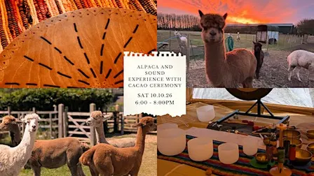 Wild Stillness: Alpaca and Sound Experience with Cacao Ceremony