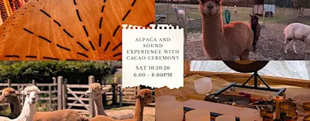 Wild Stillness: Alpaca and Sound Experience with Cacao Ceremony
