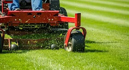Starting and Managing a Lawn Care Business