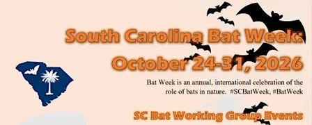 Let’s Get Batty with Dorchester County 4-H 2026