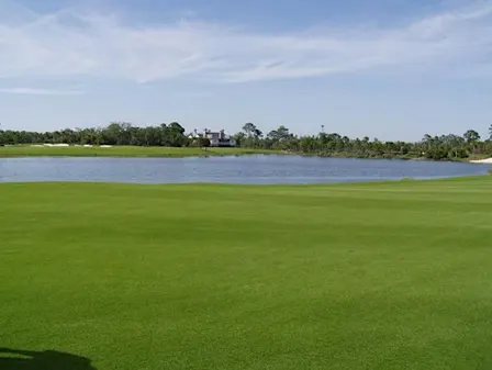 Turfgrass 101