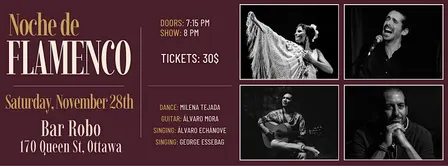 Noche de Flamenco