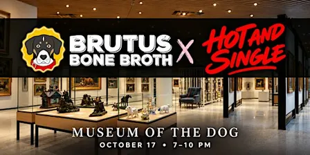 Hot and Single Dog Parent Party x Brutus Bone Broth