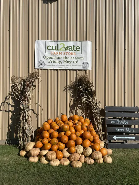 You Pick Pumpkins