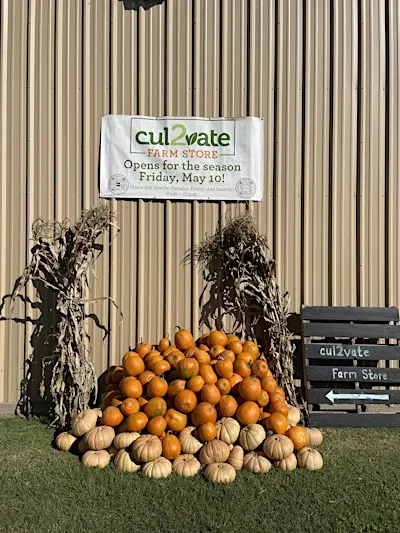 You Pick Pumpkins