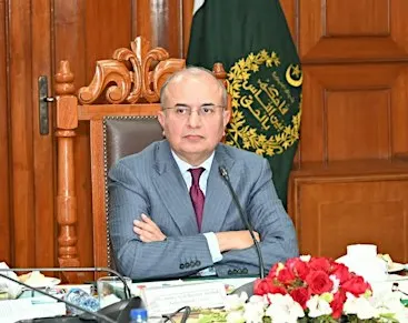 Instant Issues: Judicial Independence and the Rule of Law in Pakistan