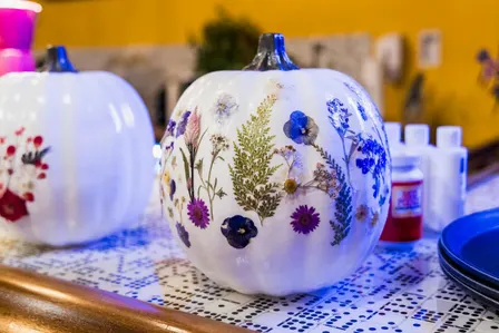 Pumpkins & Petals: A Latte Night Workshop