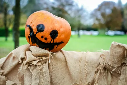 Halloween Storytelling & Pumpkin Painting