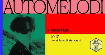 Automelodi (Montreal), Angel Husk - Panic Underground