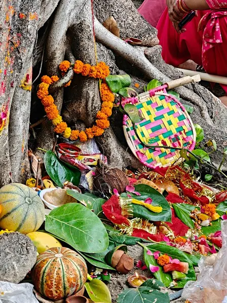Día de Muertos Celebration & Community Ofrenda