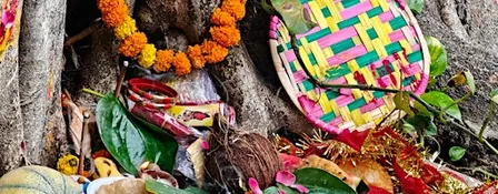 Día de Muertos Celebration & Community Ofrenda