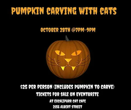 Pumpkin Carving with Cats